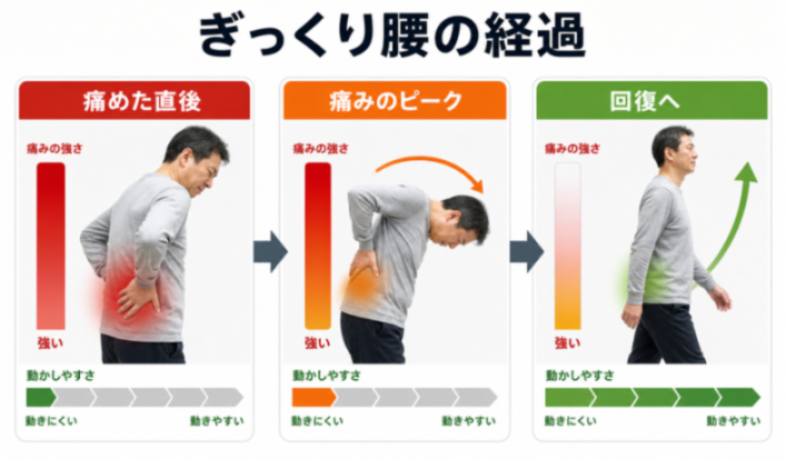 コンテンツ画像