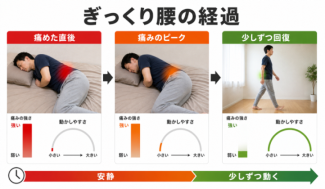 コンテンツ画像