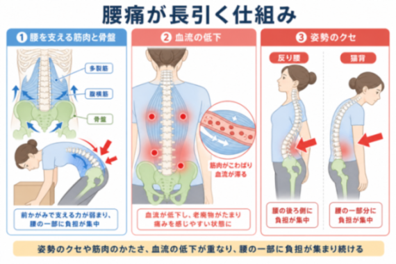 コンテンツ画像