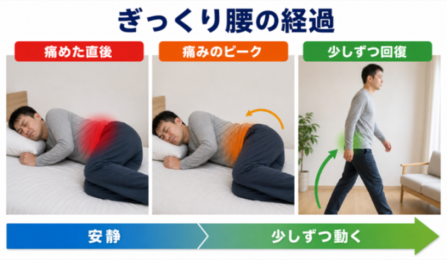 コンテンツ画像