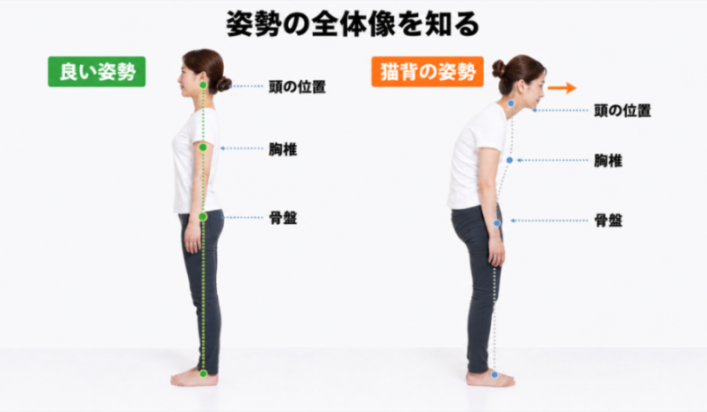 コンテンツ画像