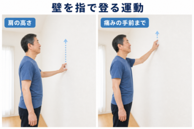 コンテンツ画像