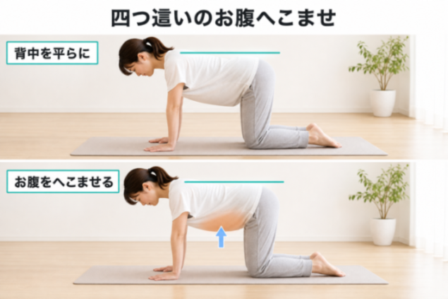 コンテンツ画像