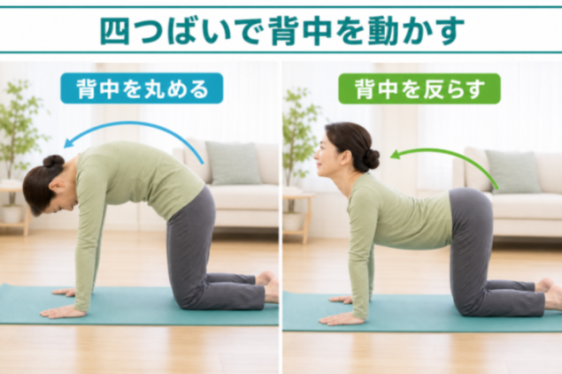 コンテンツ画像