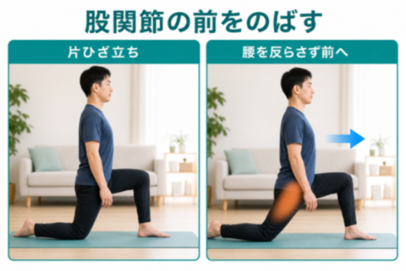 片ひざ立ちで股関節の前をのばす図解
