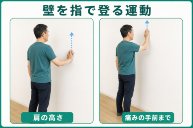 コンテンツ画像