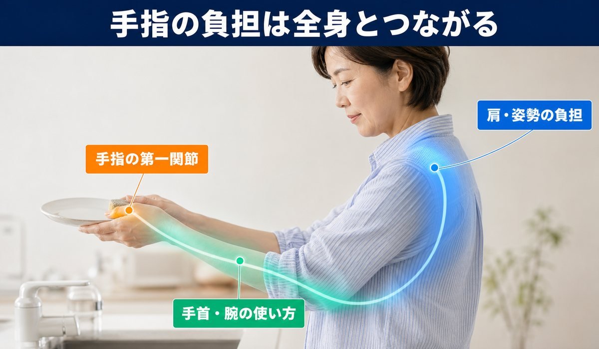手指と全身のつながり図