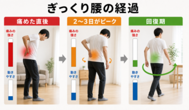 コンテンツ画像