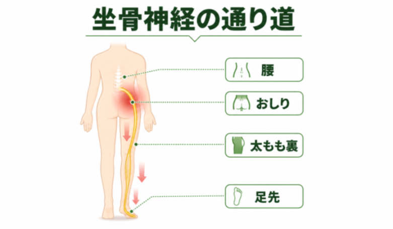 コンテンツ画像