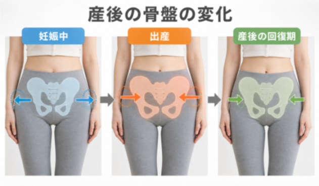 コンテンツ画像