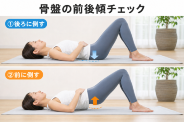 コンテンツ画像