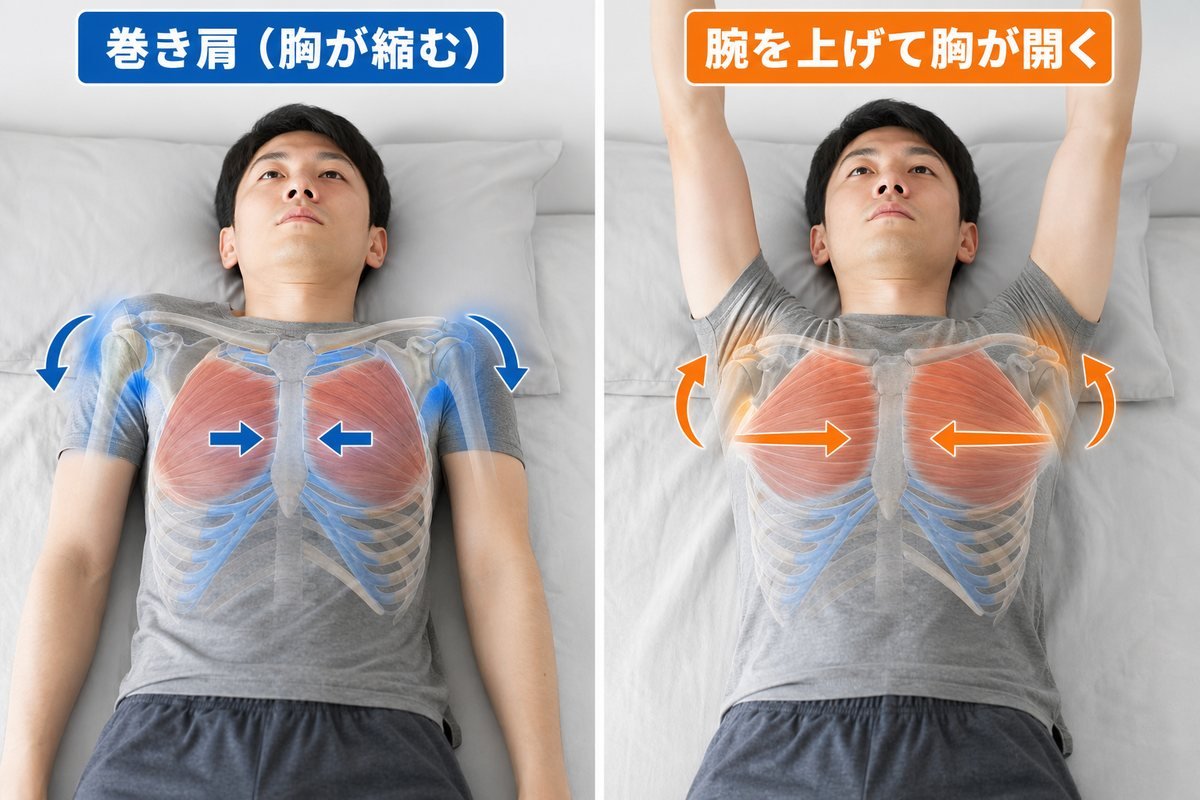 バンザイ寝メカニズム図
