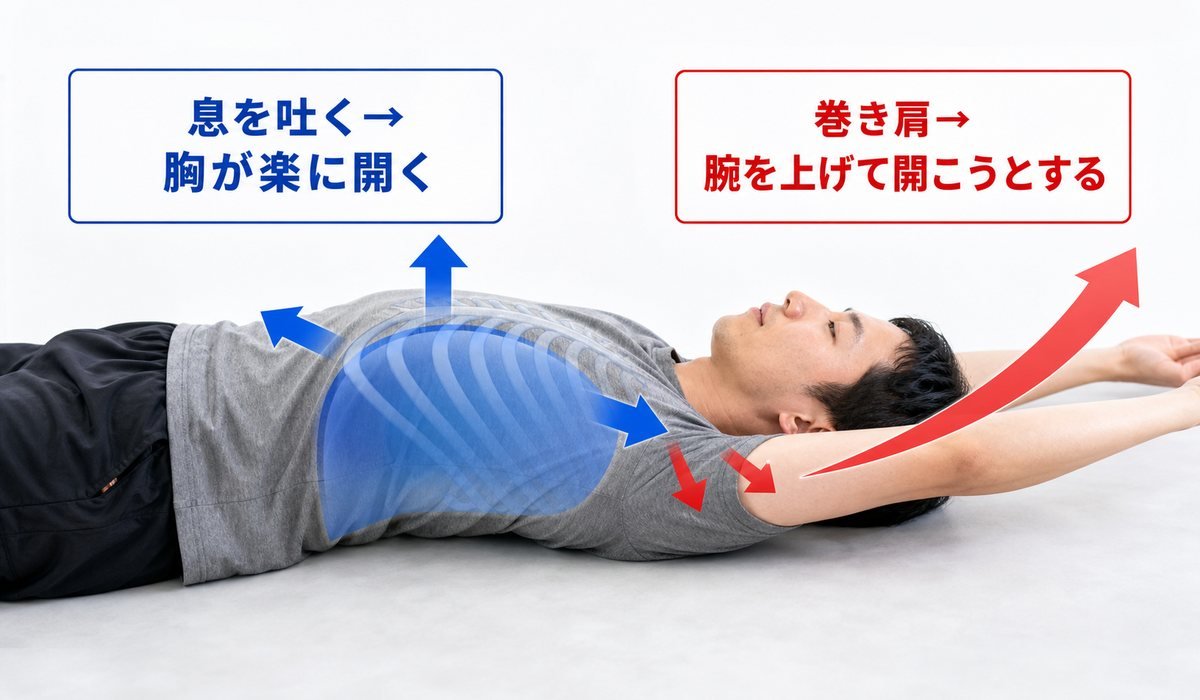 呼吸と胸郭力学図