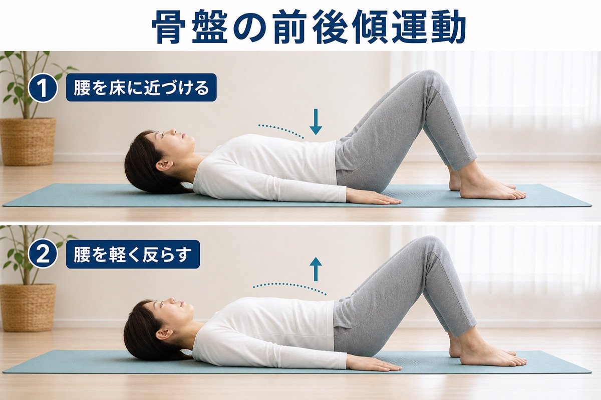 骨盤前後傾運動