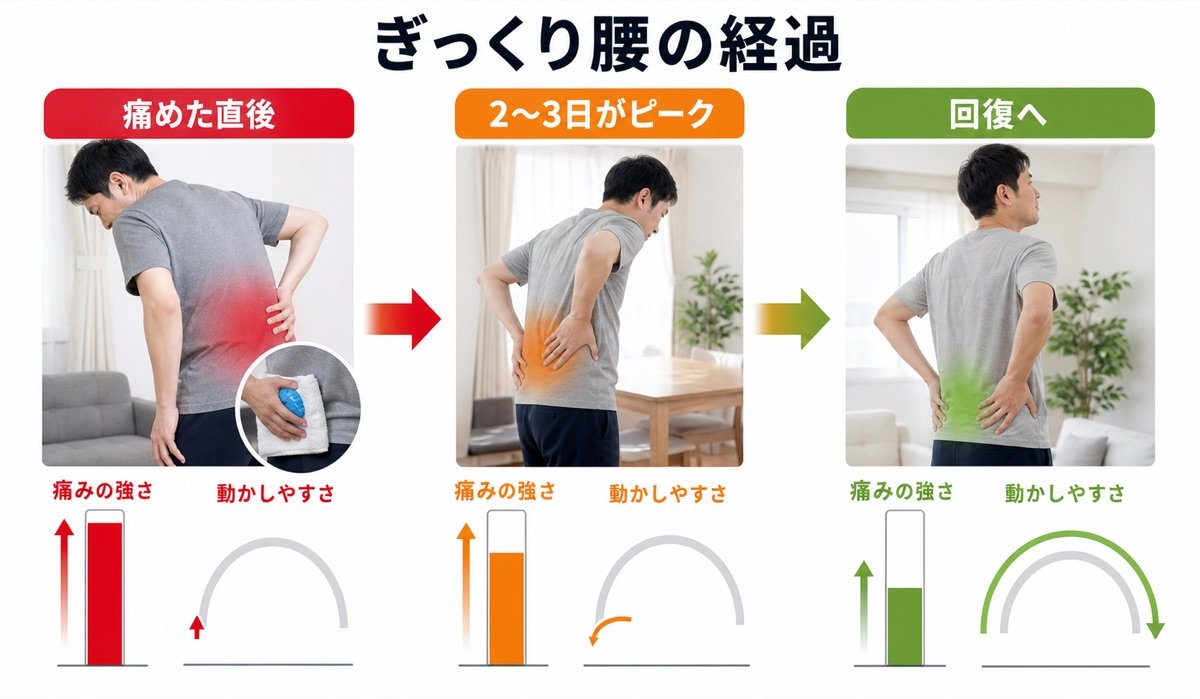ぎっくり腰アングラー ぎっくり腰の改善方法｜保冷剤での急性期アイシングと再発予防の
