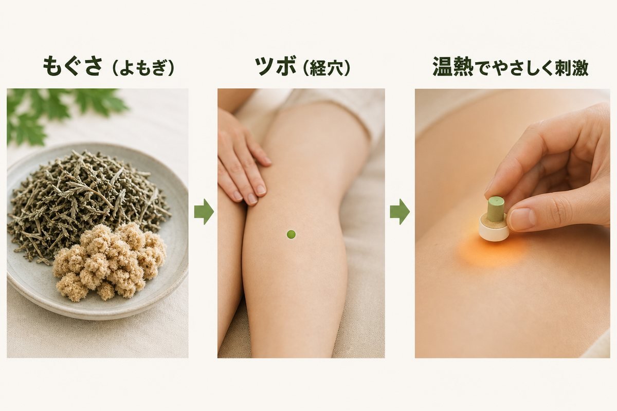 お灸とは図解