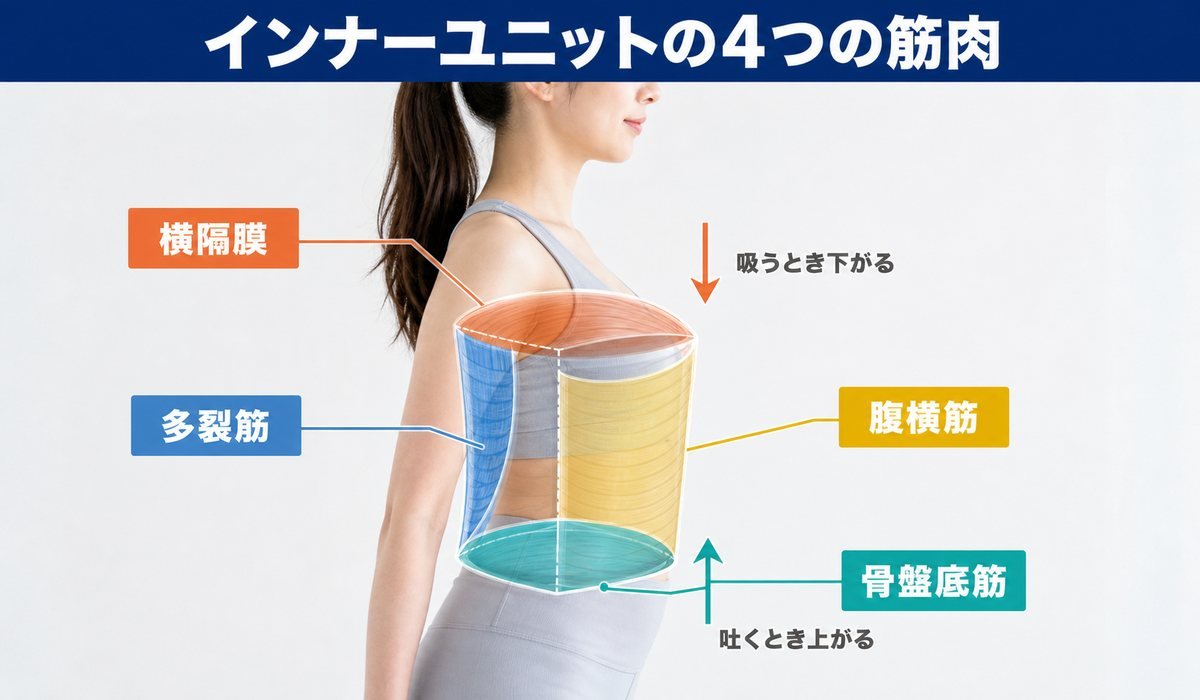 インナーユニット4筋の図解