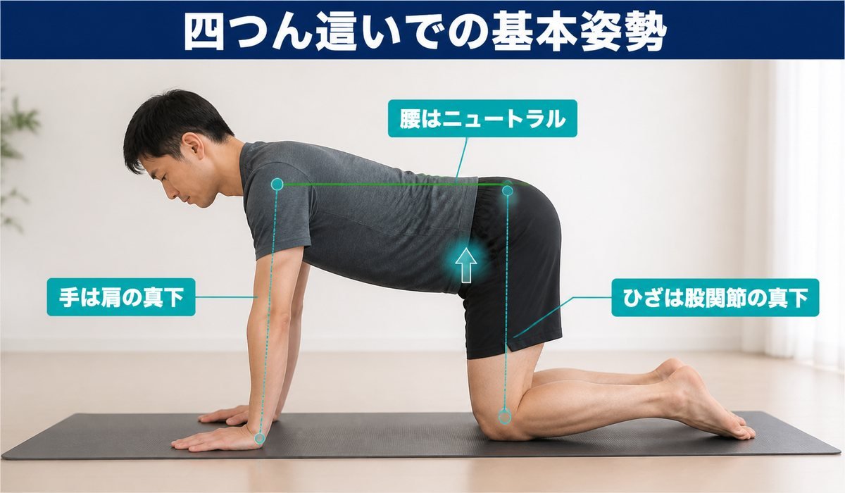 四つん這いでのフラットバックトレーニング