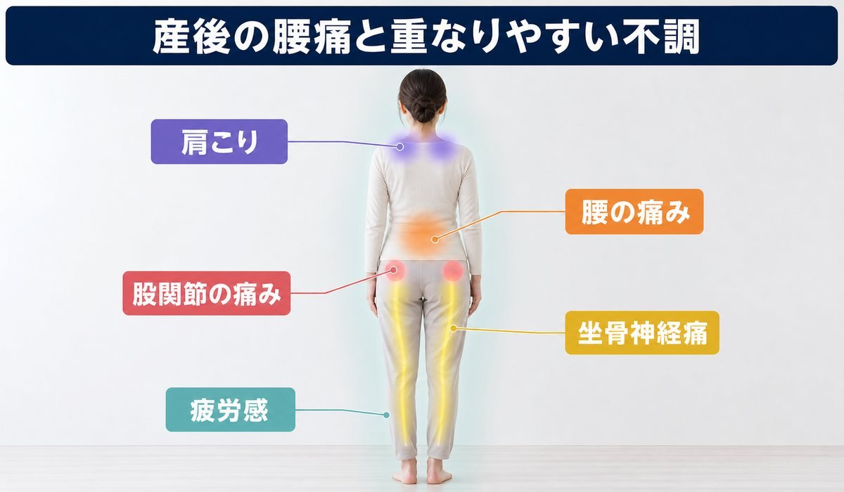 産後の腰痛と関連症状マップ