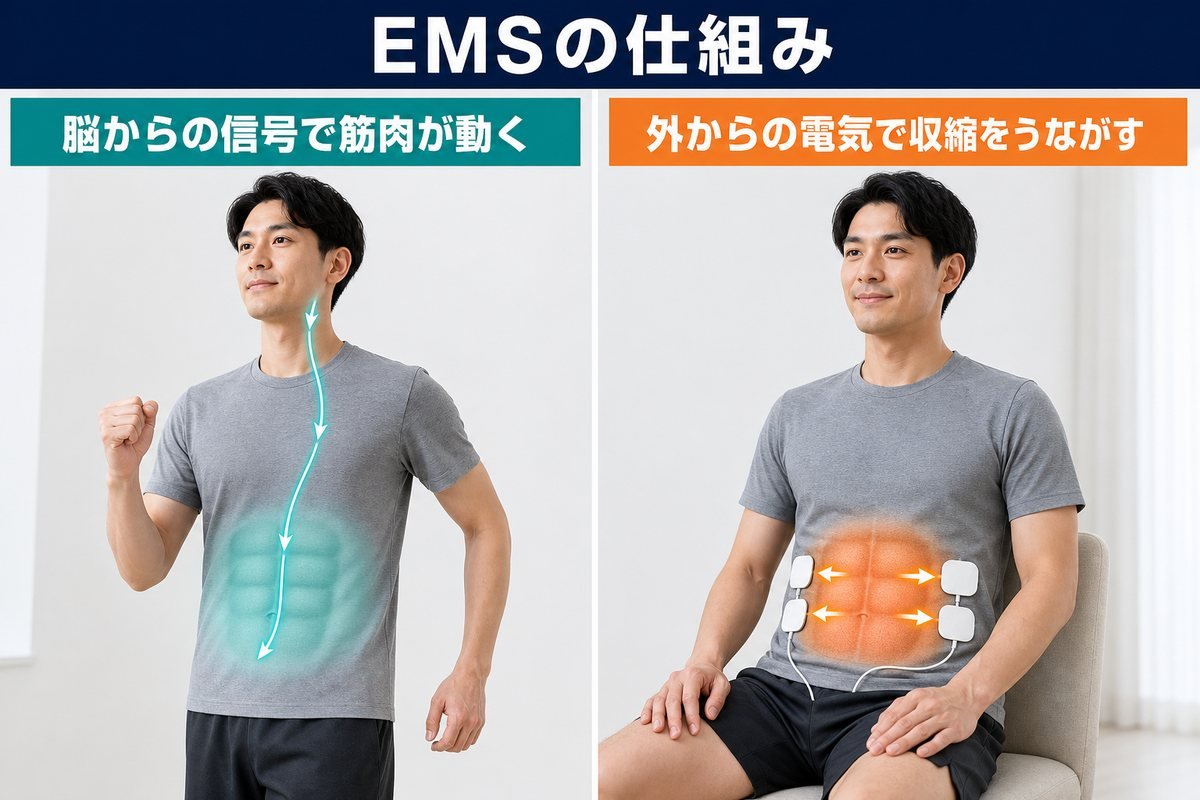 EMS仕組み図
