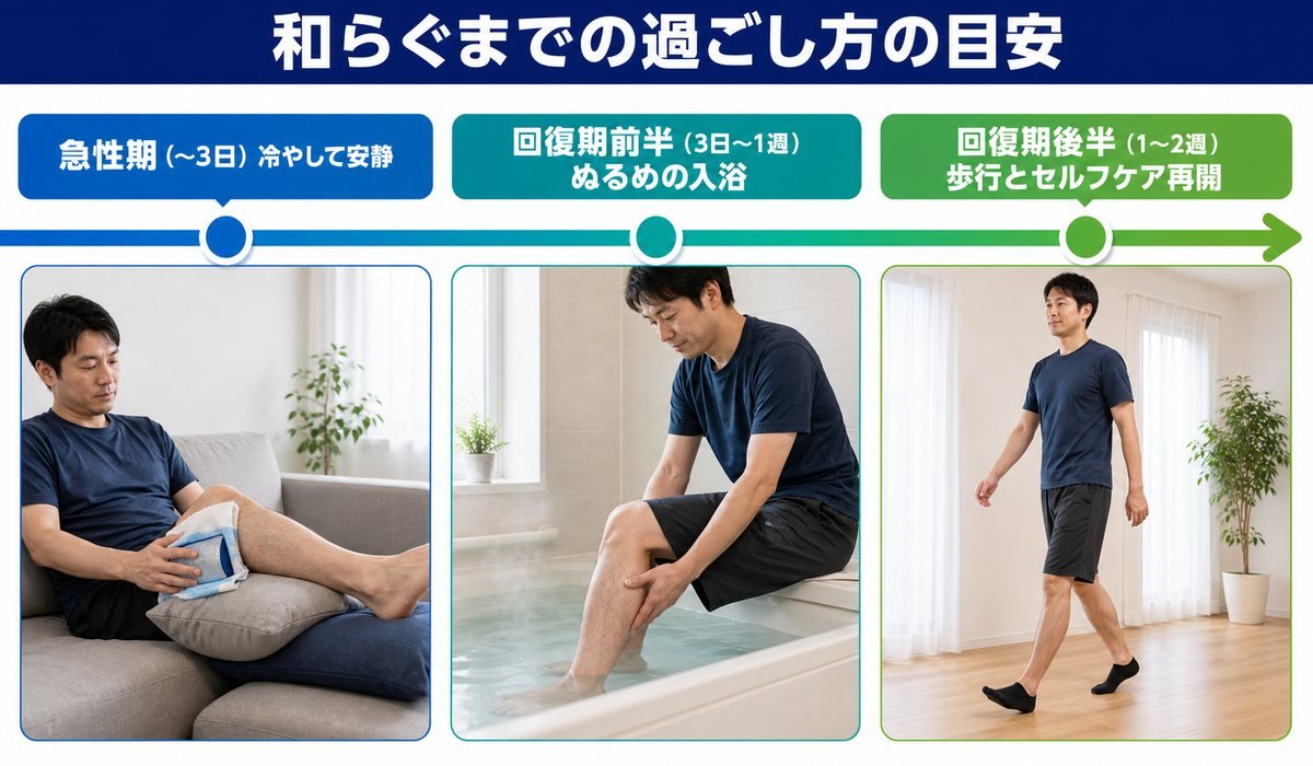 回復の目安タイムライン