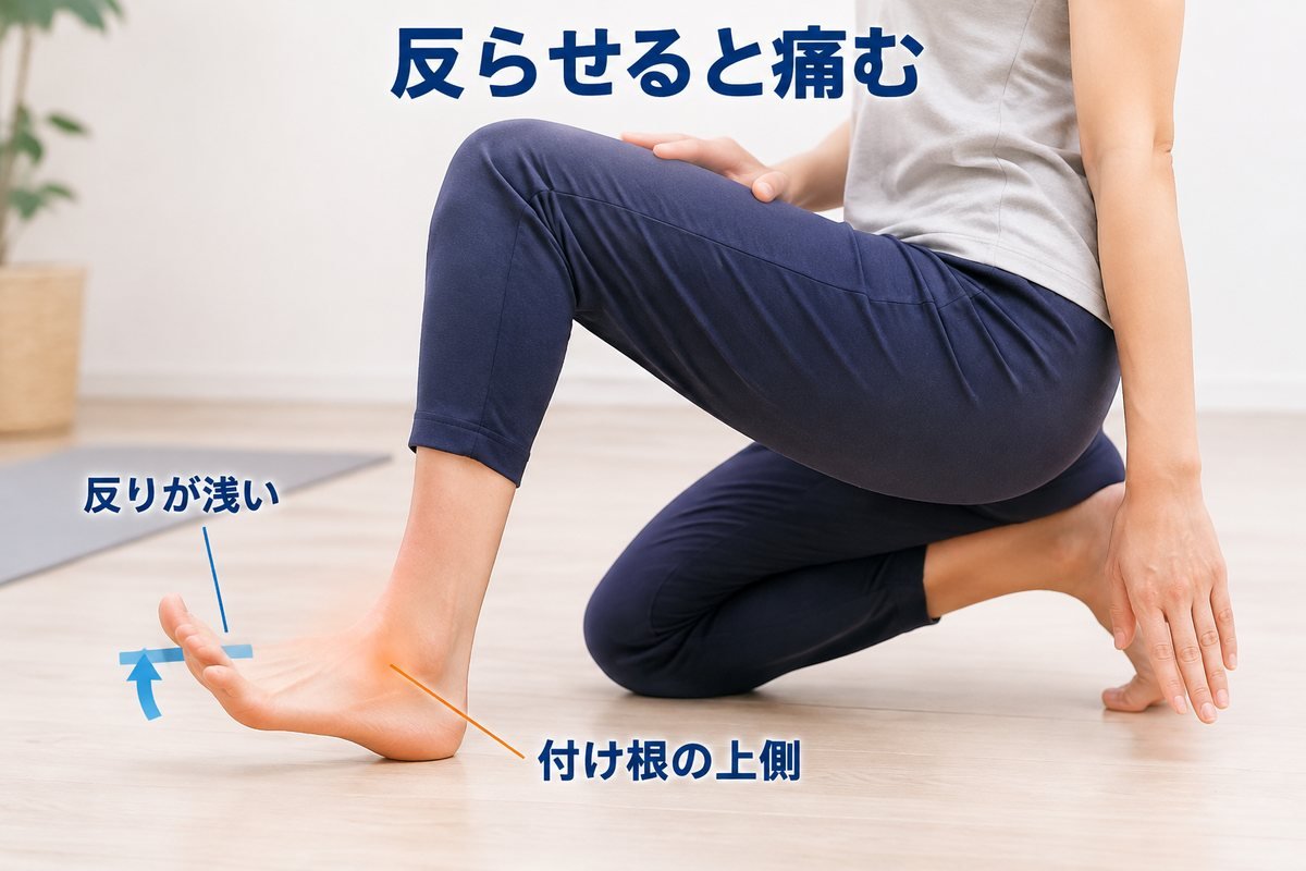 タイプC 親指の反りにくさ
