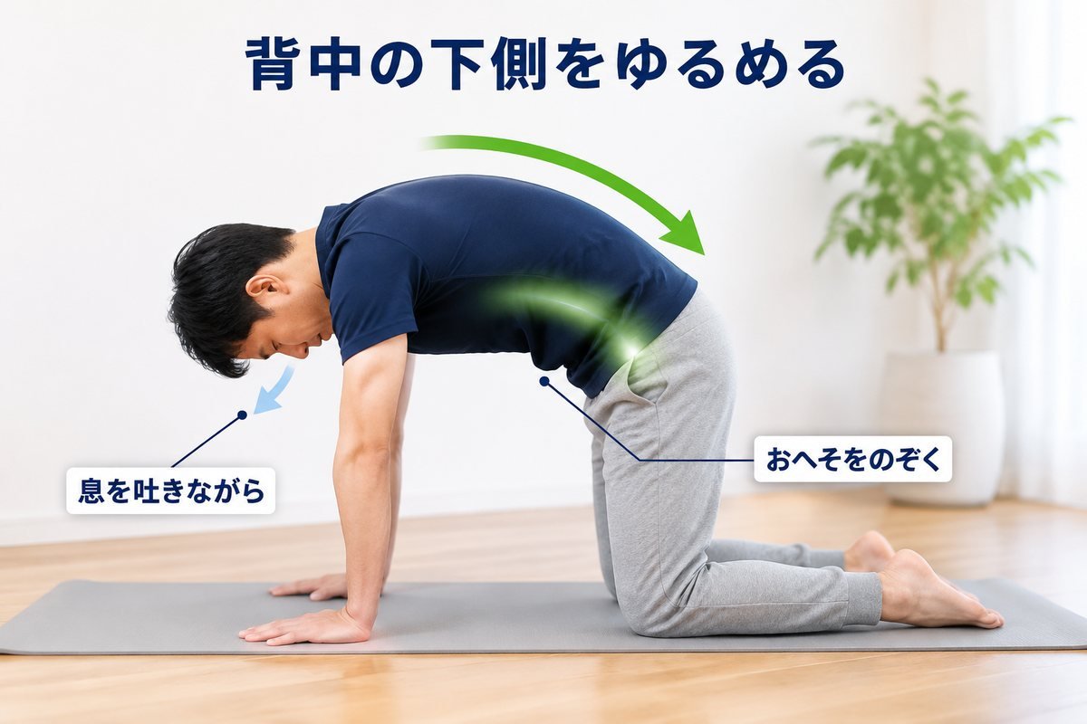 背中の下側をゆるめるケア