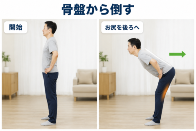 ヒップヒンジの確認｜骨盤から倒す前傾を覚える手順図