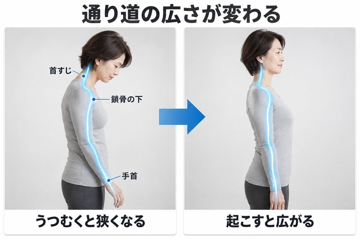 手のしびれの医学的メカニズム