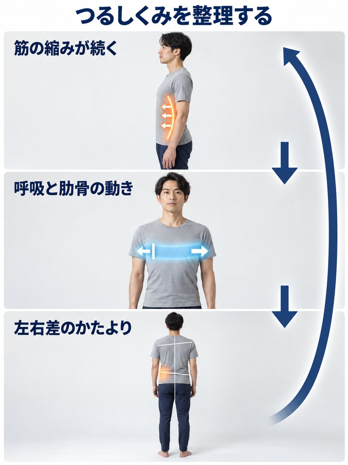つる痛みのメカニズム