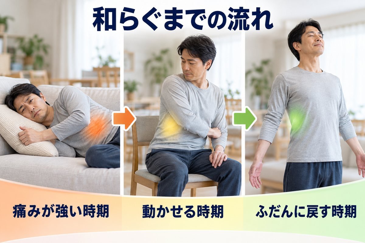 回復の目安タイムライン