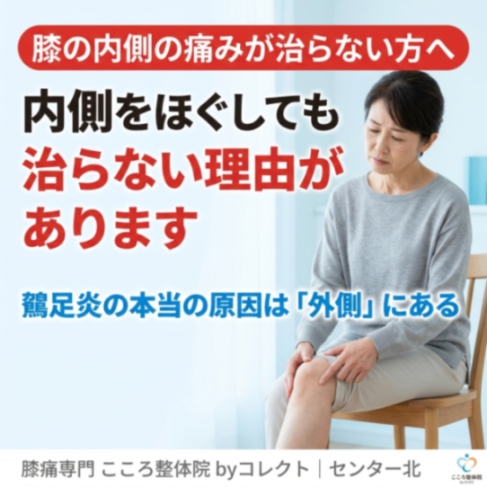 【鵞足炎の本当の理由】膝の内側の痛みが治らない理由と根本改善法