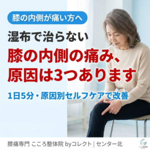 膝の内側が痛い痛い原因と改善法｜膝蓋下脂肪帯・鵞足炎・伏在神経の違いとは？