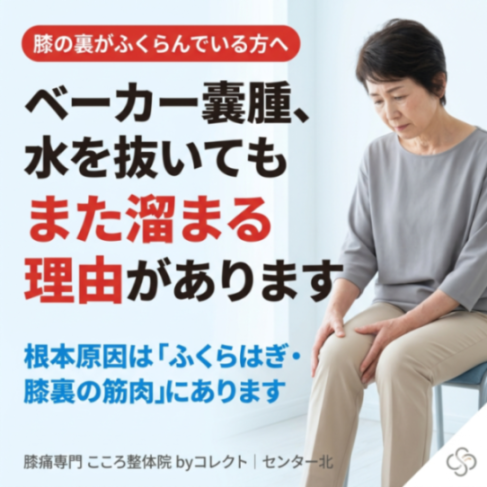 【横浜・センター北】ベーカー嚢腫の原因と改善法｜膝裏の腫れを繰り返す方へ