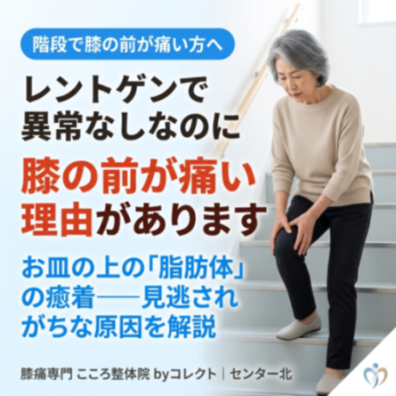 膝のお皿の上が痛い原因は？膝蓋上脂肪体の癒着と改善セルフケア4選