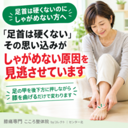 膝が曲がらない原因は足首?しゃがめない・膝が痛い人が知っておきたい距骨の動き