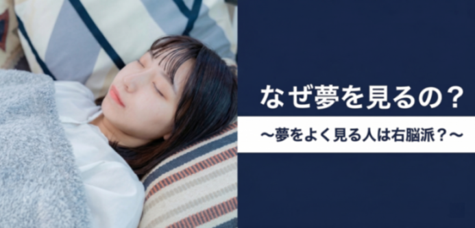 なぜ夢を見るの?夢をよく見る人は右脳派?